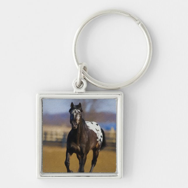 Ladegerät Schlüsselanhänger (Vorne)