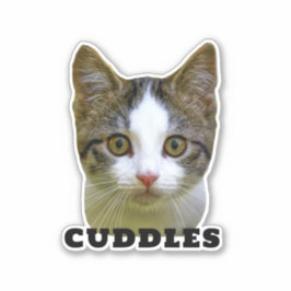 Laden Sie Ihr Foto und den Personalisierten Aufkle Aufkleber