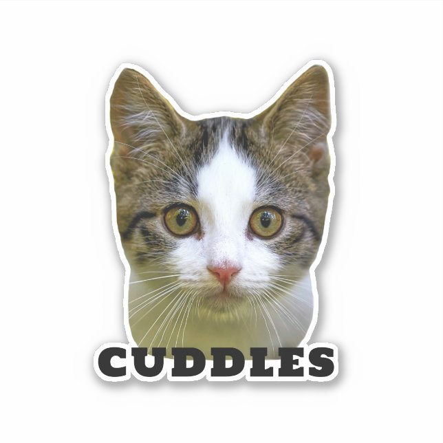 Laden Sie Ihr Foto und den Personalisierten Aufkle Aufkleber (Vorderseite)