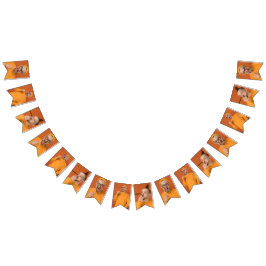 Laden Sie Ihr lustiges Foto Selfie Party hoch  Wimpelkette