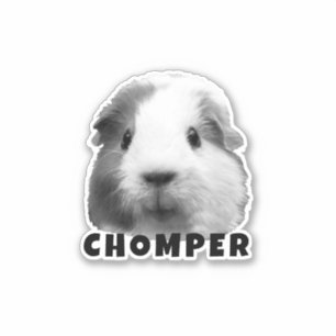 Laden Sie Ihr Pet-Guinea-Foto und Ihren Namen Pers Aufkleber