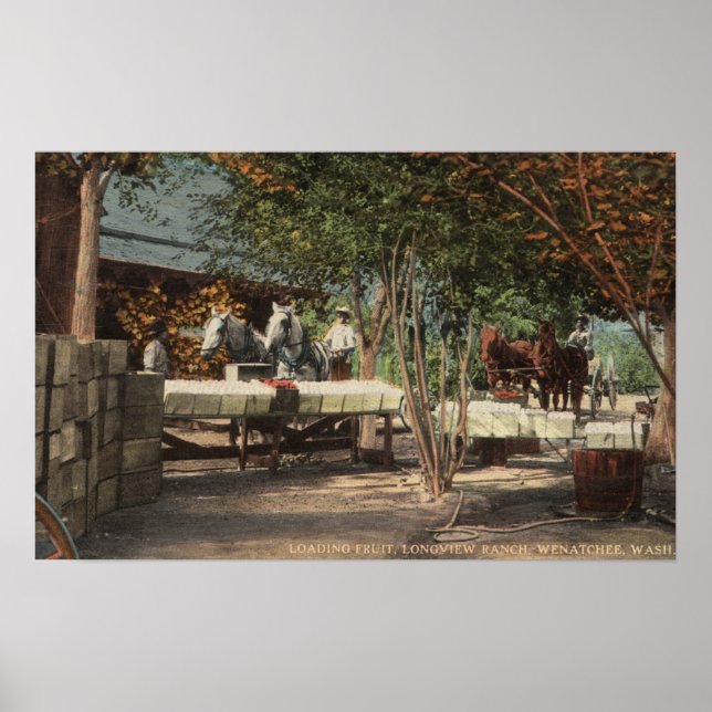 Ladungsfrucht bei Longview Ranch Poster (Vorne)