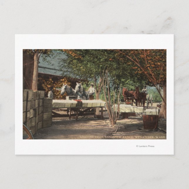 Ladungsfrucht bei Longview Ranch Postkarte (Vorderseite)