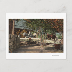 Ladungsfrucht bei Longview Ranch Postkarte