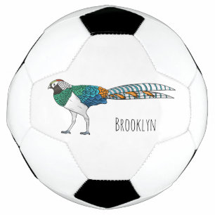 Lady Amherst-Cartoon Fußball