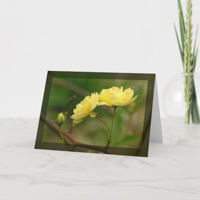 Lady Banks Rosea Duo Karte (Vorderseite)