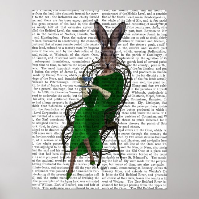 Lady Bella Rabbit Take Tee Poster (Vorne)