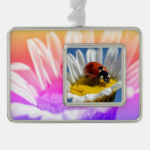 Lady bug auf daisy Tasse Mouse Pad Poster Christma Rahmen-Ornament Silber