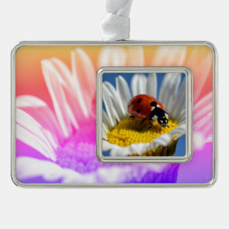 Lady bug auf daisy Tasse Mouse Pad Poster Christma Rahmen-Ornament Silber