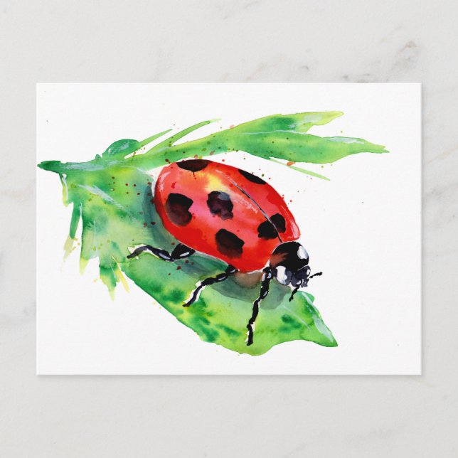 Lady Bug auf einem grünen Blatt Postkarte (Vorderseite)