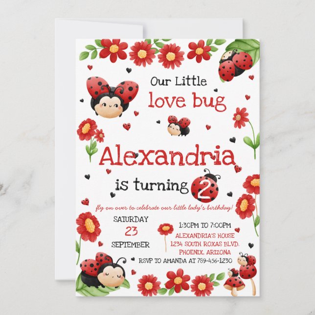 Lady Bug Birthday Invitation Einladung (Vorderseite)