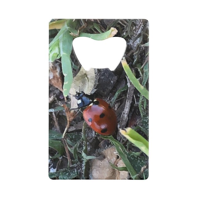 Lady Bug Geldbeutel Flaschenöffner (Vorderseite)
