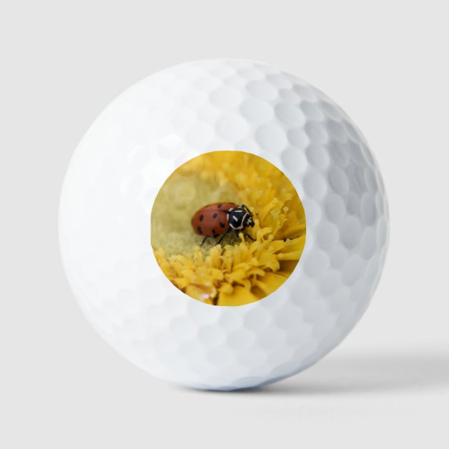 Lady Bug Golfball (Vorderseite)