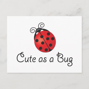 Lady Bug - Niedlich als Bug Postkarte