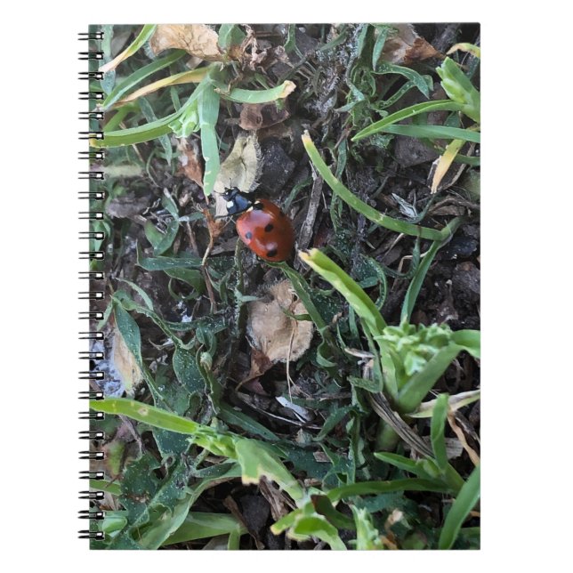 Lady Bug Notizblock (Vorderseite)
