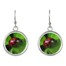 Lady Bug