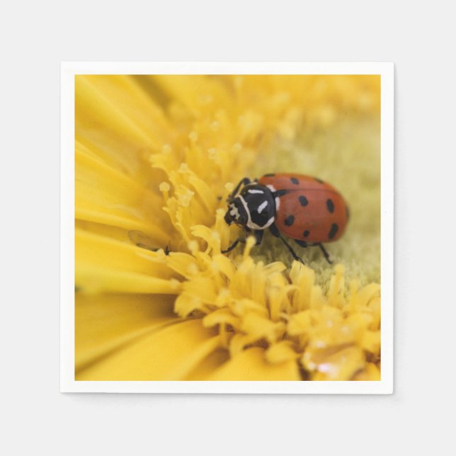 Lady Bug Serviette (Vorderseite)