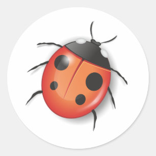 Lady Bug Sticker Umschlag Aufkleber