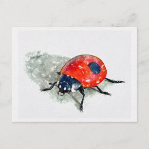 Lady Bug Watercolor Postkarte