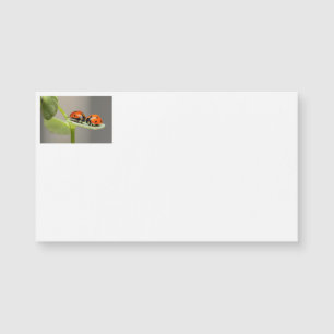 Lady Bugs Business Cards Magnetkarte