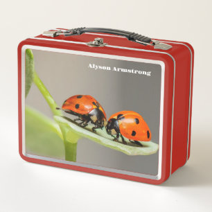 Lady Bugs Metall Brotdose
