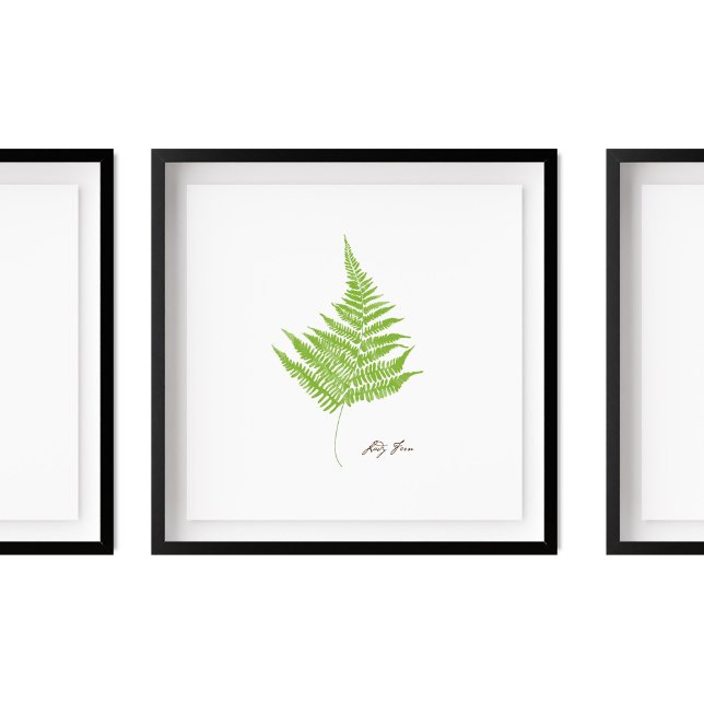 Lady Fern Illustration | Fern-Serie Poster (Von Creator hochgeladen)