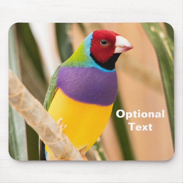 Lady Gouldian Finch Mousepad (Vorne)