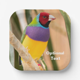 Lady Gouldian Finch Pappteller