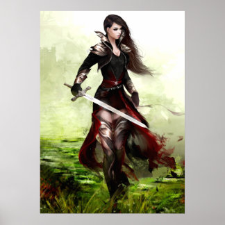 Lady Knight Poster