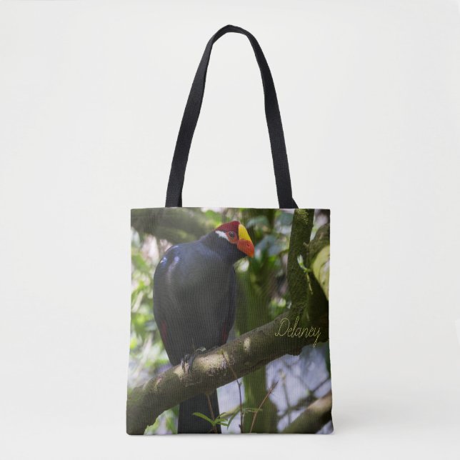 Lady Ross's Turaco (Vorderseite)