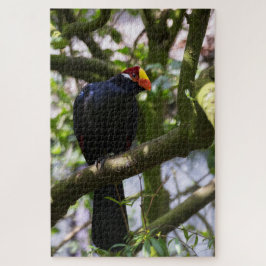 Lady Ross's Turaco Puzzle