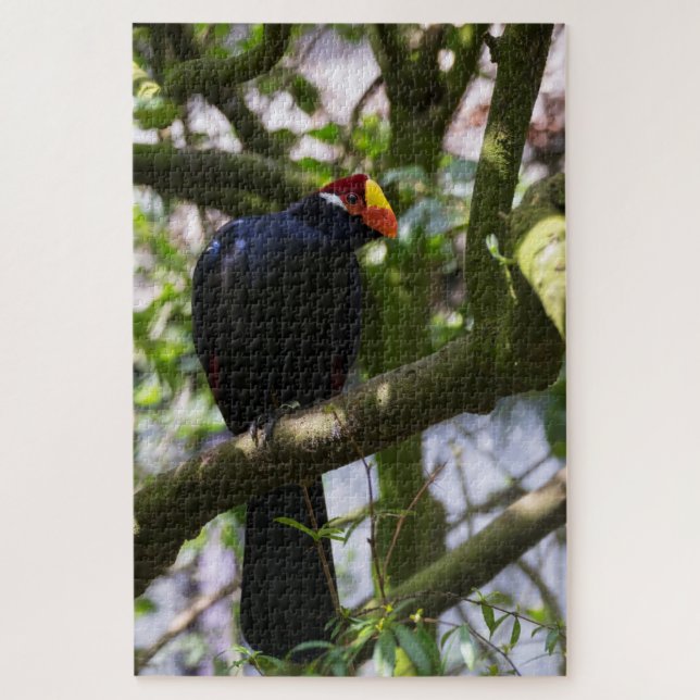 Lady Ross's Turaco Puzzle (Vertikal)