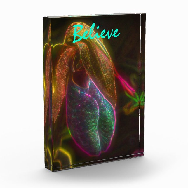 Lady Slipper glaubt inspirierende Worte Fotoblock (Links)