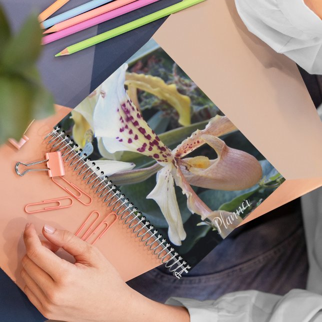 Lady Slipper Orchid Floral Planer (In Situ)