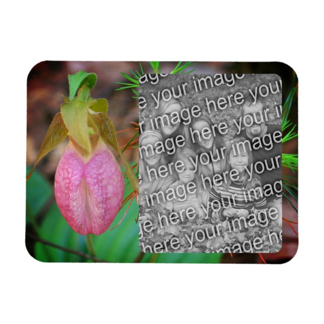 Lady Slipper Orchid Rahmen hinzufügen Ihr Foto Magnet (Horizontal)