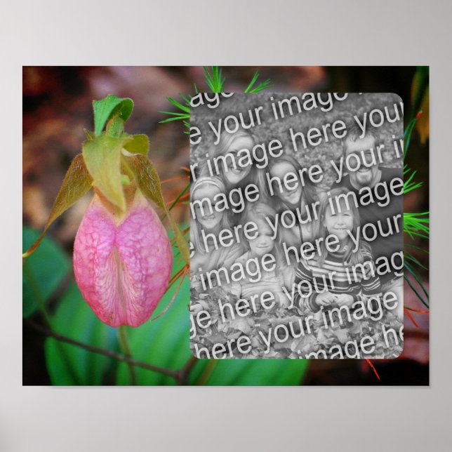 Lady Slipper Orchid Rahmen hinzufügen Ihr Foto Poster (Vorne)
