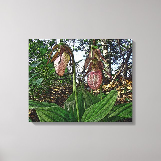 Lady Slipper Orchid Wildblume Leinwanddruck (Vorderseite)