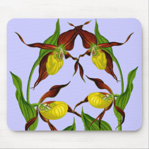 Lady Slippers entwinterte Mousepad