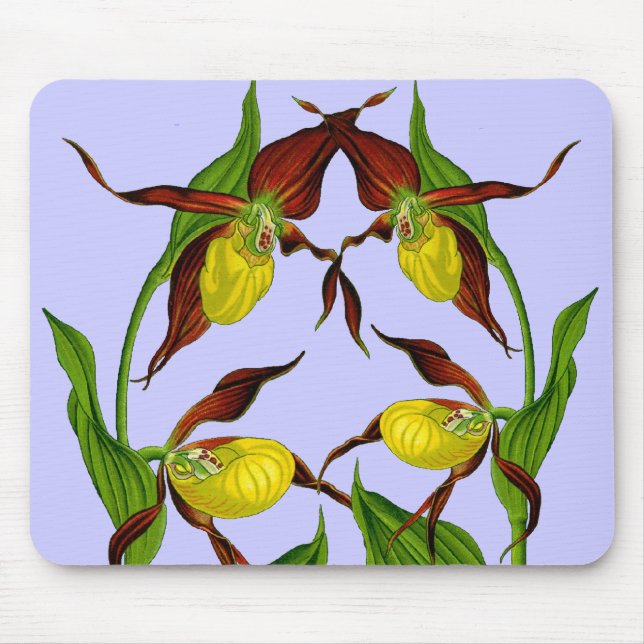 Lady Slippers entwinterte Mousepad (Vorne)