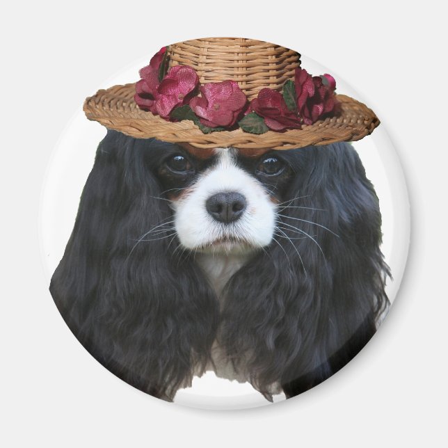 Lady Tansy Magnet (Vorne)