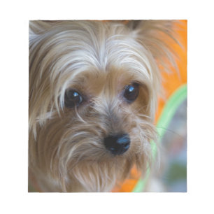 Lady Yorkshire Terrier Puppy Notizblock