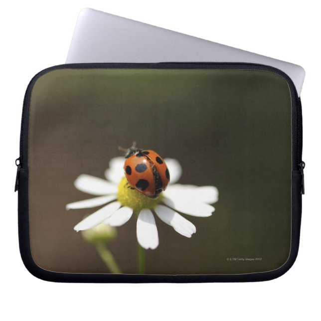 Ladybird auf der Chamomile-Blume Laptopschutzhülle (Vorderseite)
