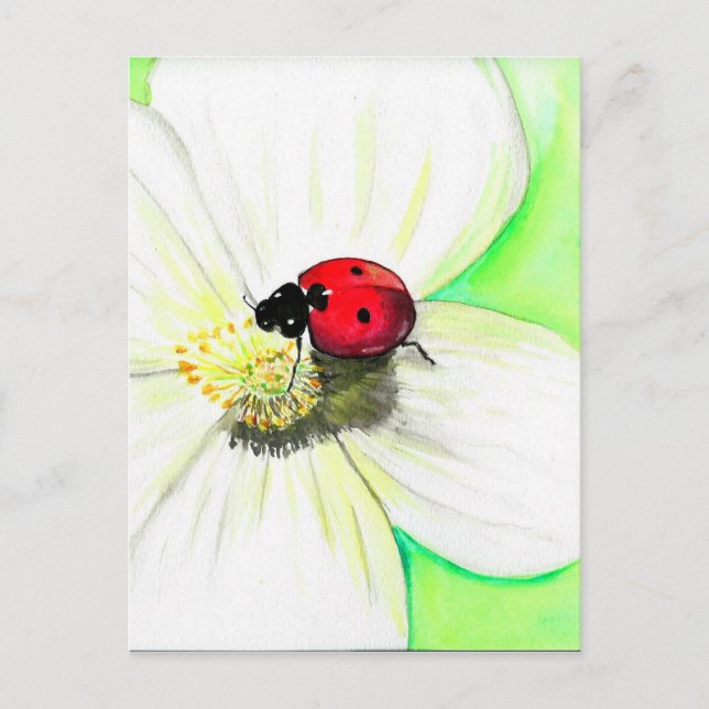 Ladybird auf einer Blume Postkarte (Vorderseite)