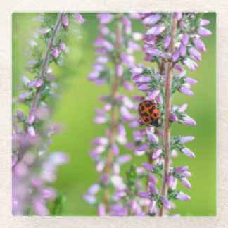 Ladybird auf lila Blume - Glasuntersetzer