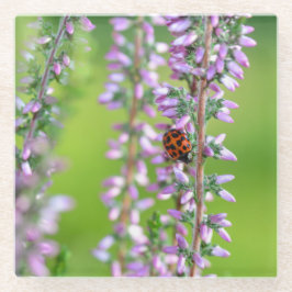 Ladybird auf violetten Blumen Glasuntersetzer