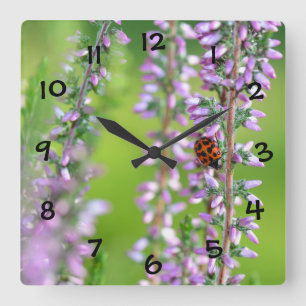 Ladybird auf violetten Blumen  Quadratische Wanduhr