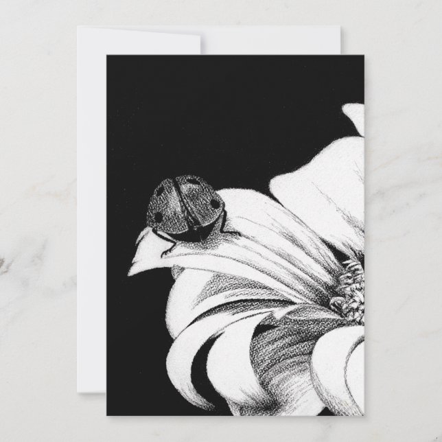 Ladybird Einladung (Vorderseite)