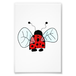 Ladybird Fotodruck