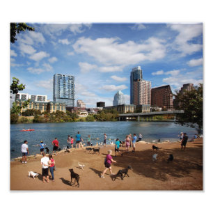Ladybird Lake Dog Park Austin Texas Skyline Fotodruck
