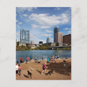 Ladybird Lake Dog Park Austin Texas Skyline Postkarte